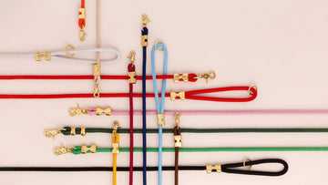 Choosing the perfect training leash for your dog