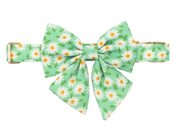Daisy Meadow Green Lady Dog Bow Tie Collar