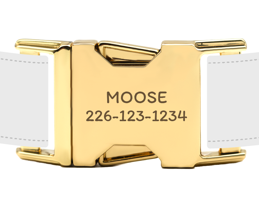 Personalization of collar