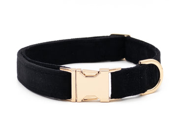 Black Velvet Dog Collar