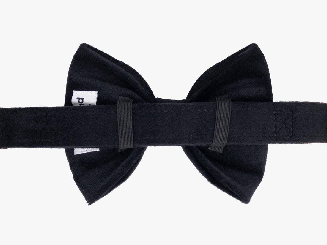 Black Velvet Dog Bow Tie Collar