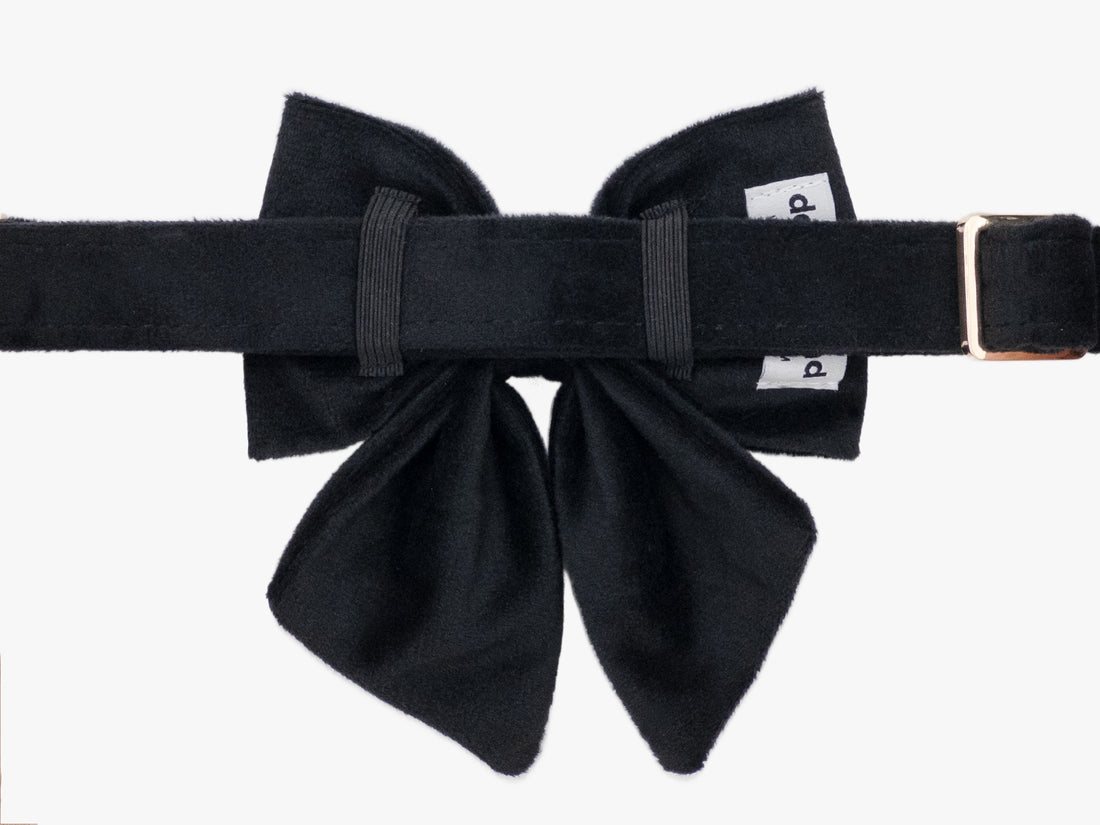 Black Velvet Lady Dog Bow Tie Collar