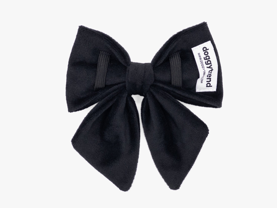 Black Velvet Lady Dog Bow Tie