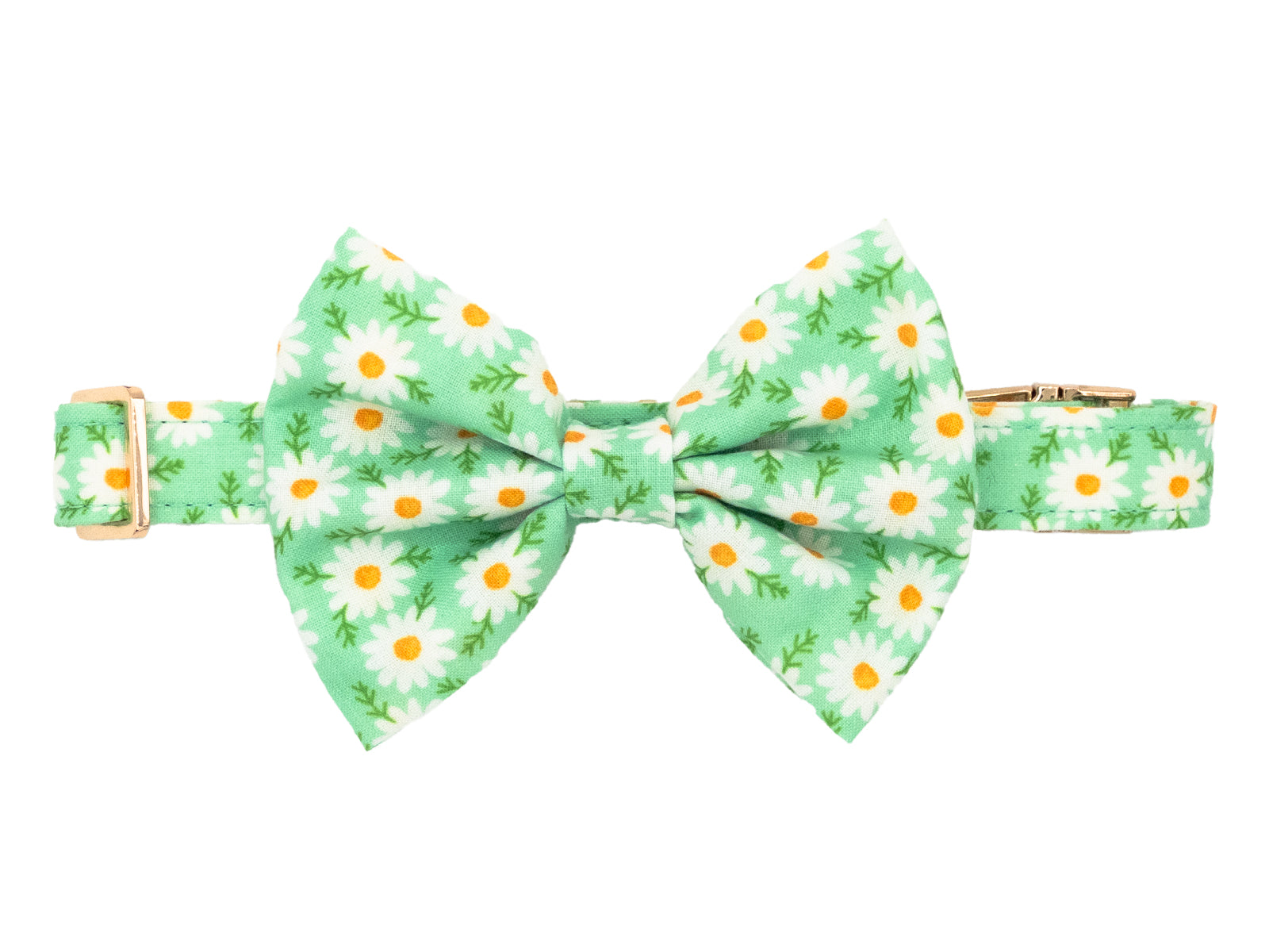 Daisy Meadow Green Dog Bow Tie Collar