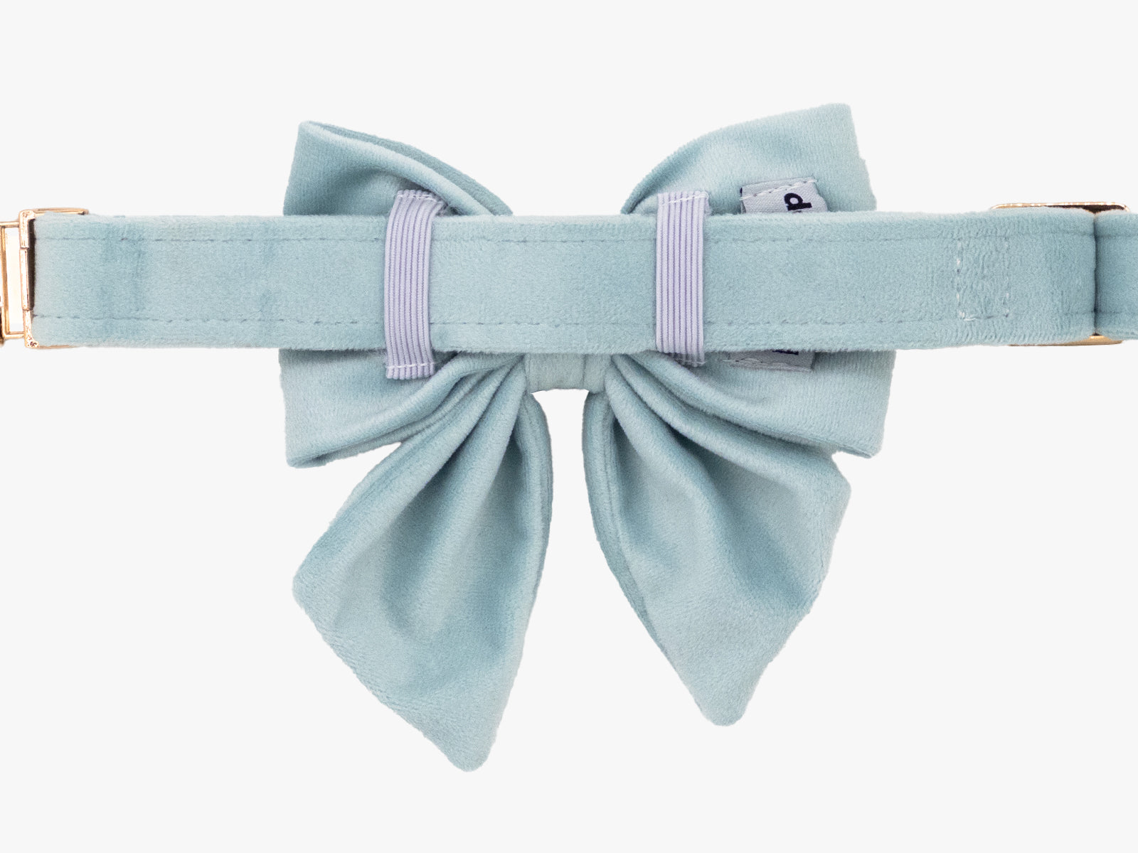 Iceberg Velvet Lady Dog Bow Tie Collar