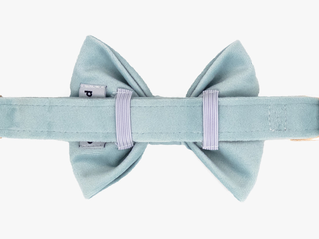 Iceberg Velvet Dog Bow Tie Collar