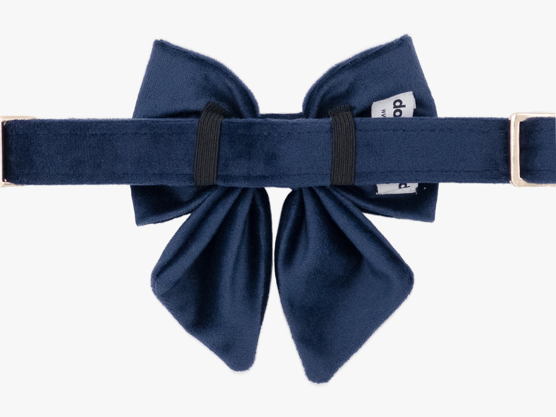 Navy Blue Velvet Lady Dog Bow Tie Collar