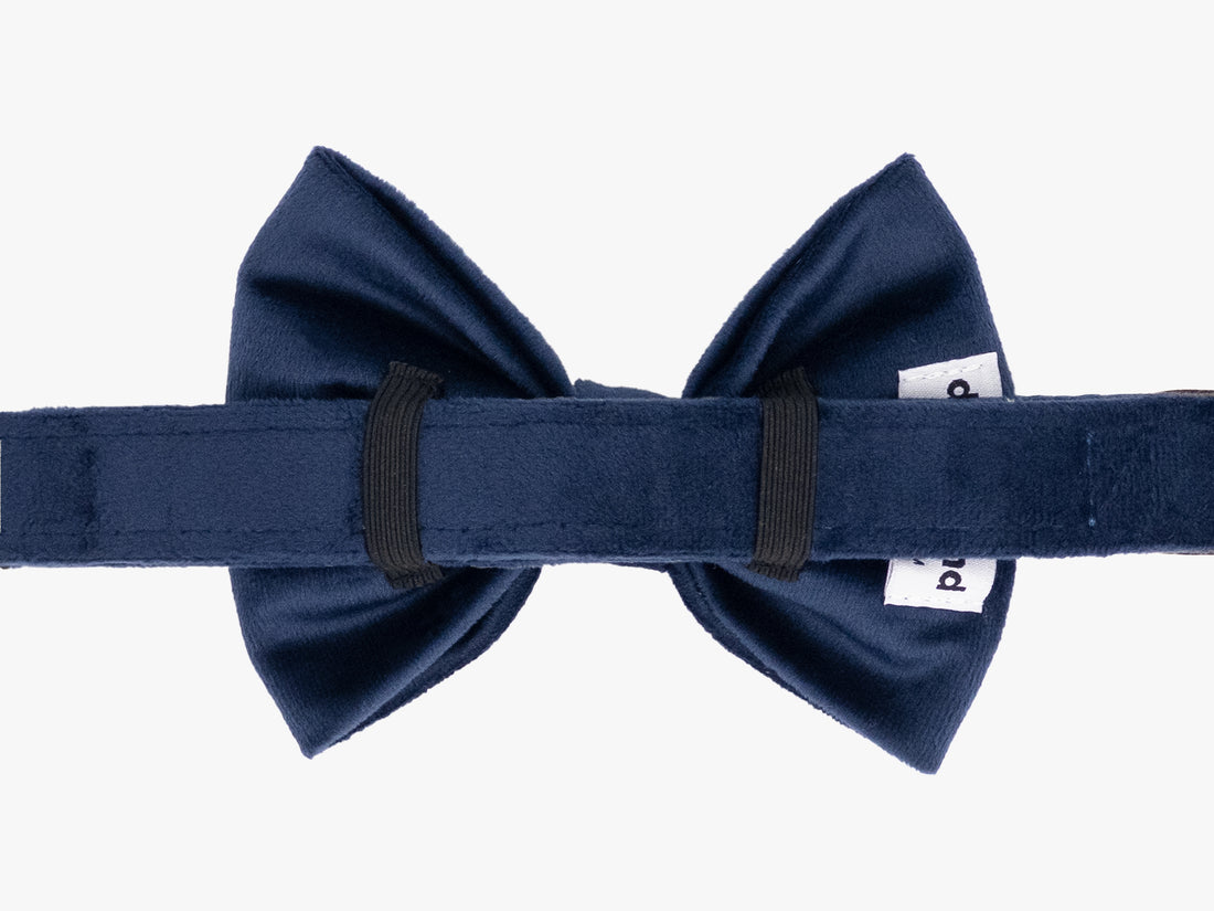 Navy Blue Velvet Dog Bow Tie Collar