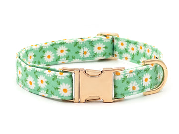 Daisy Meadow Green Dog Collar