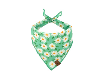 Daisy Meadow Green Dog Bandana