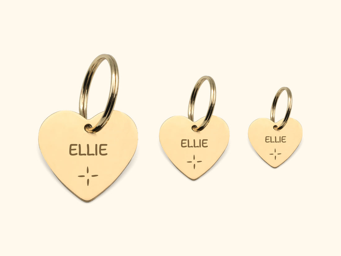 Heart Pet ID Tag With Shine Art