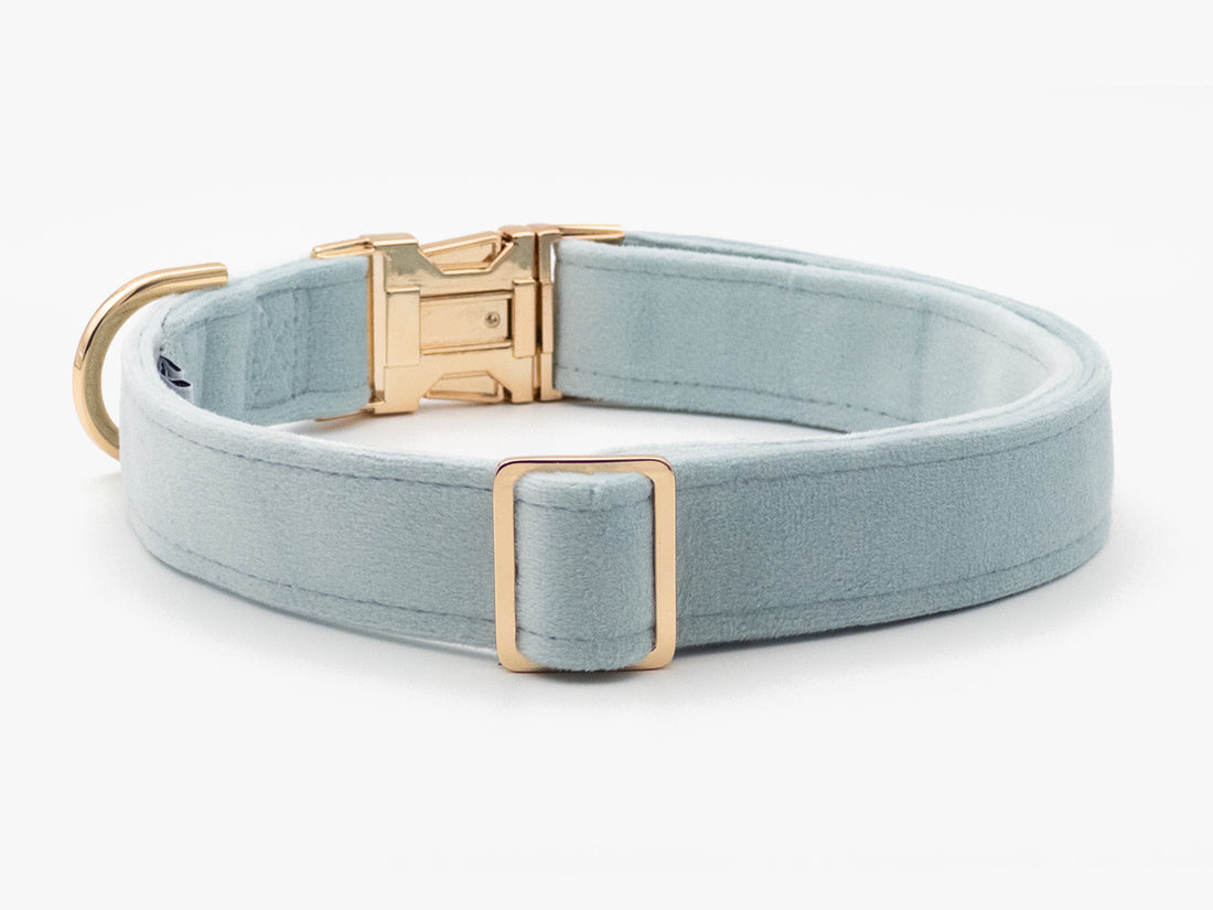 Iceberg Velvet Dog Collar