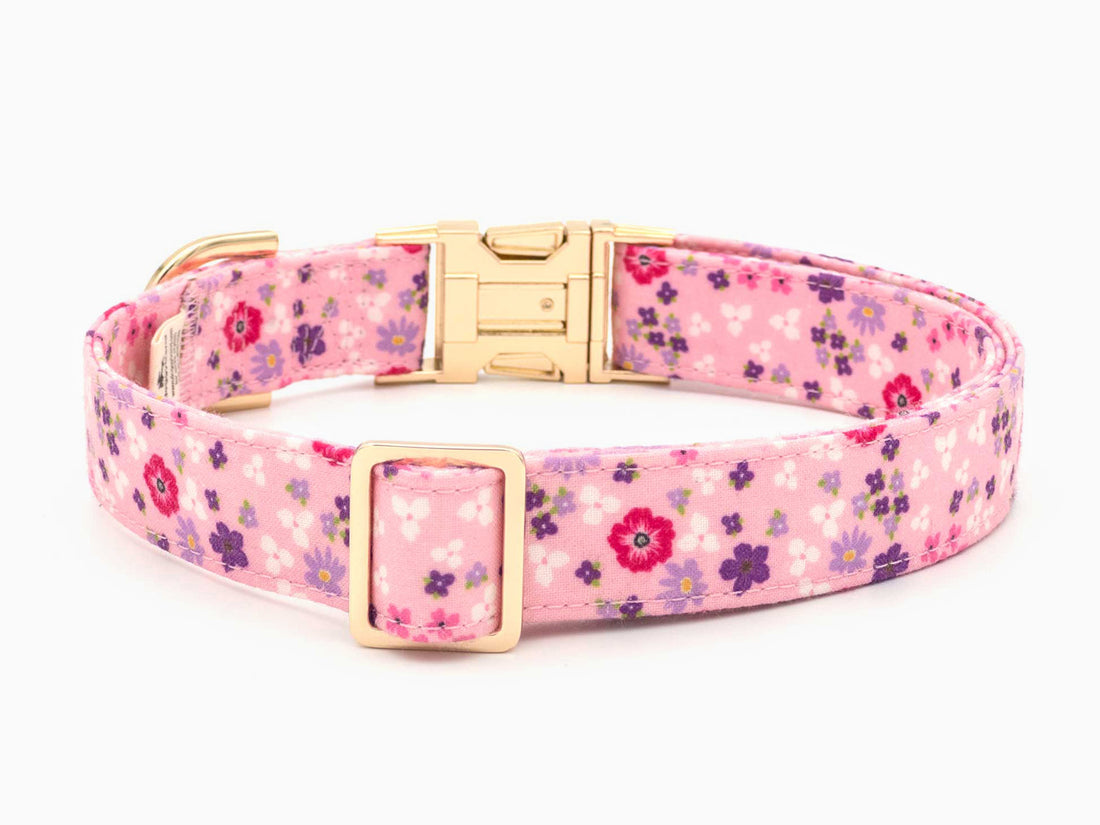 Soft Pink Petal Floral Dog Collar