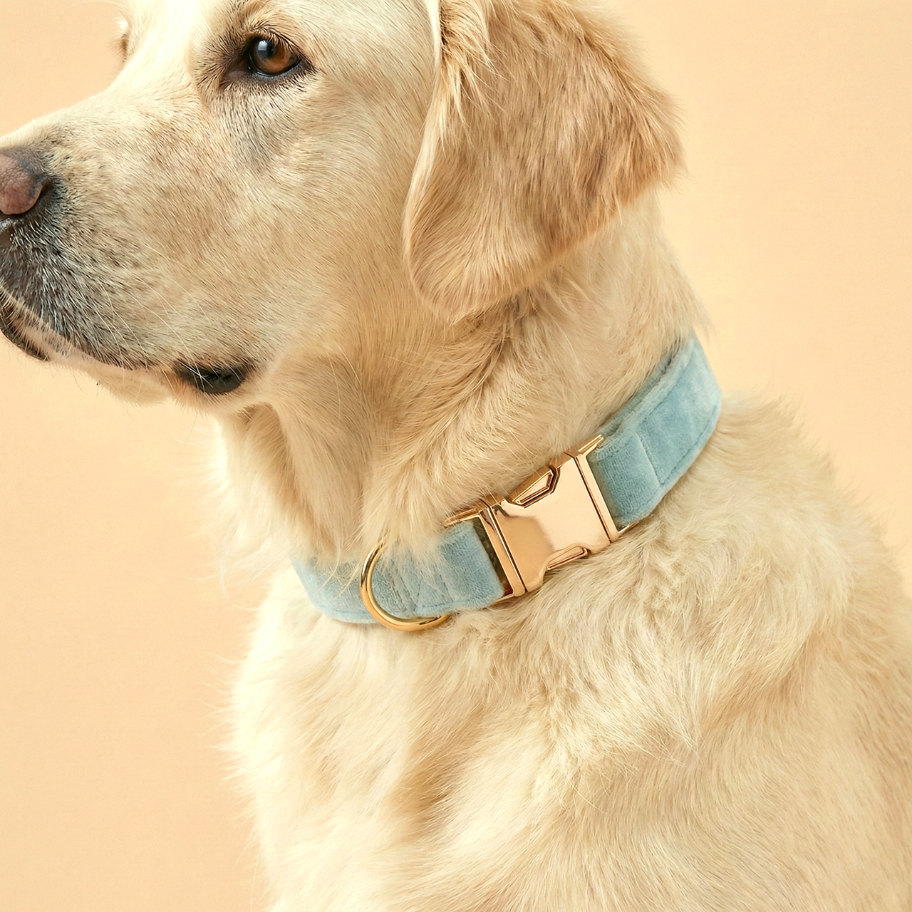 Iceberg Velvet Dog Collar
